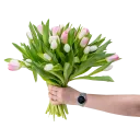 Bouquet of pink tulips